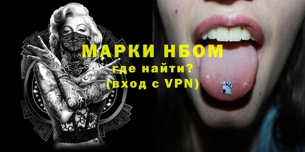 шишки Горно-Алтайск