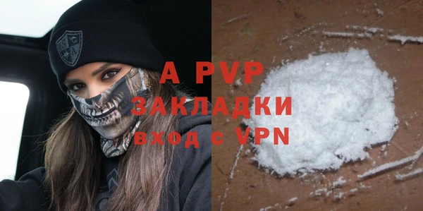 шишки Горно-Алтайск