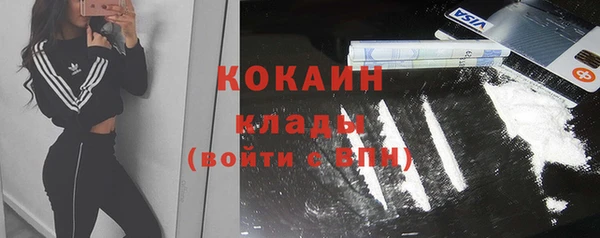 шишки Горно-Алтайск