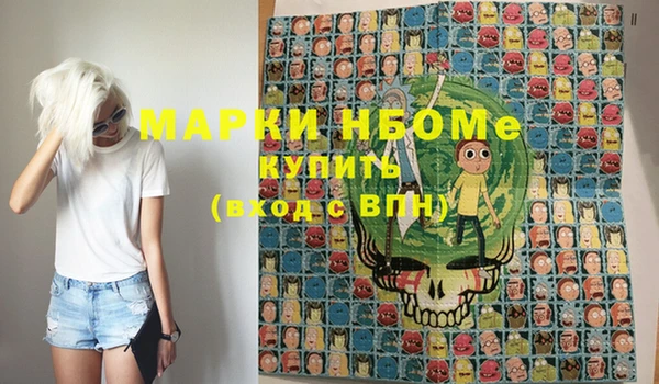 шишки Горно-Алтайск