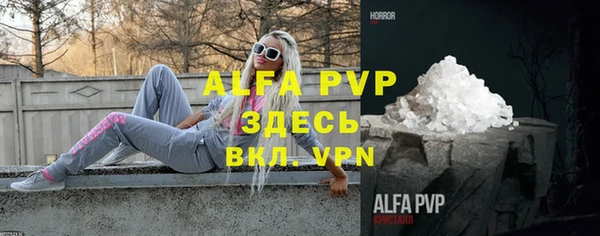 шишки Горно-Алтайск