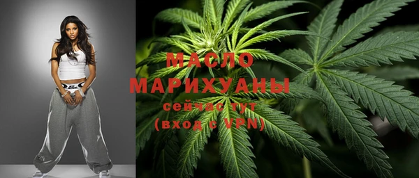 шишки Горно-Алтайск