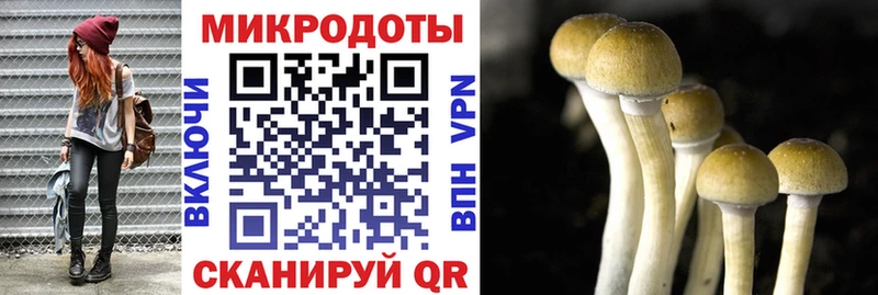 где продают наркотики  Емва  Псилоцибиновые грибы мухоморы 